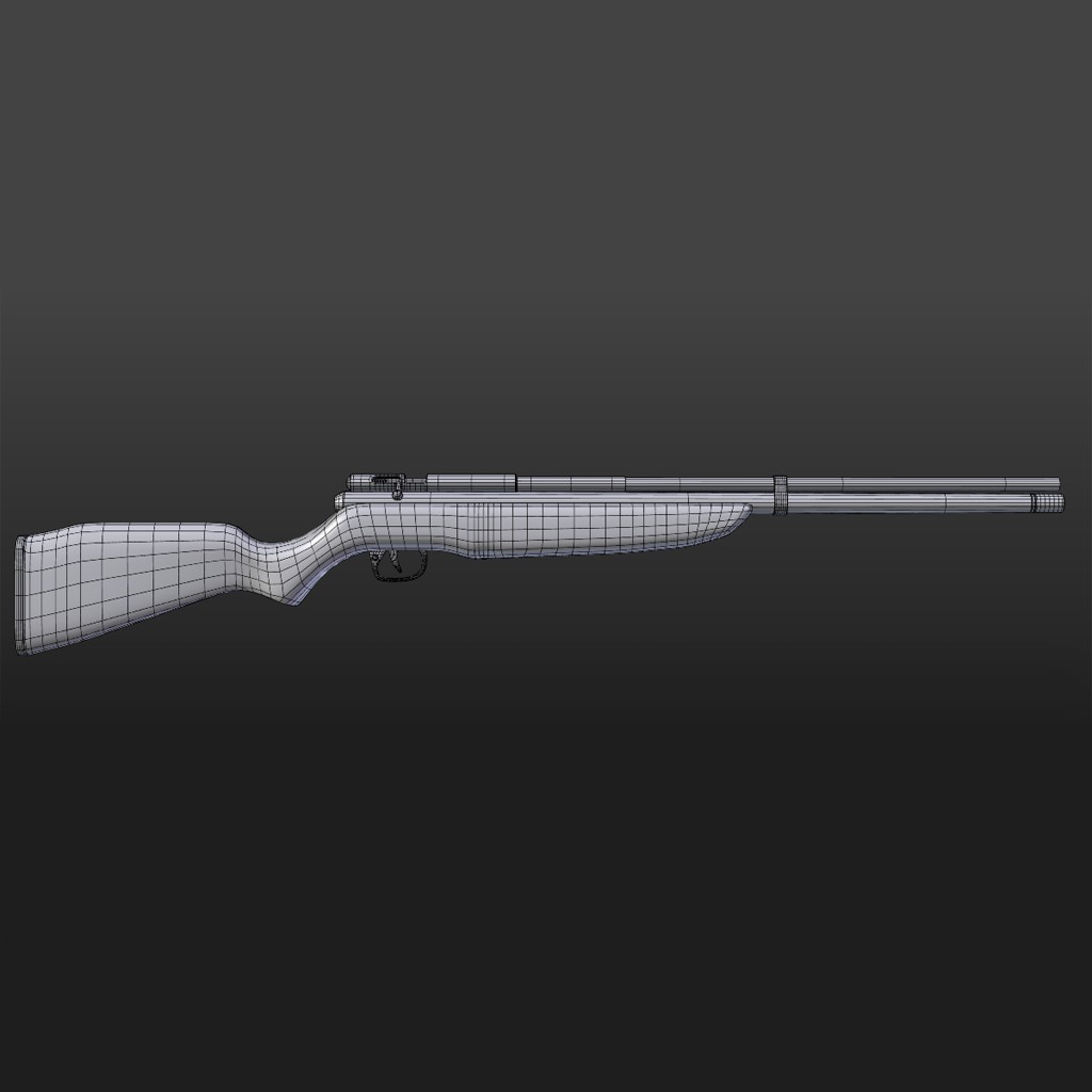 Benjamin Discovery Hunting Rifle preview image 2